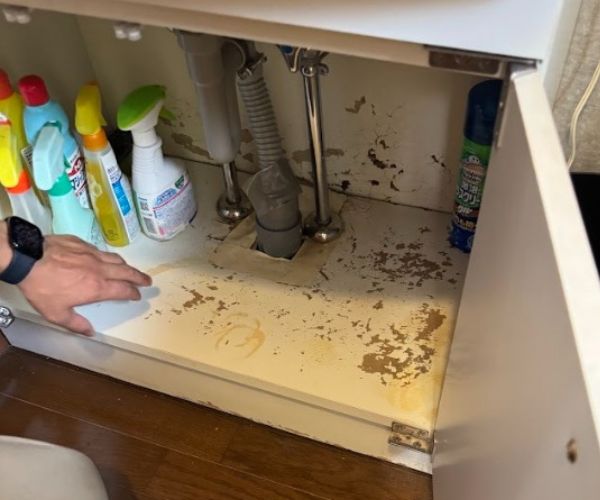 洗面台下の化粧板の損傷