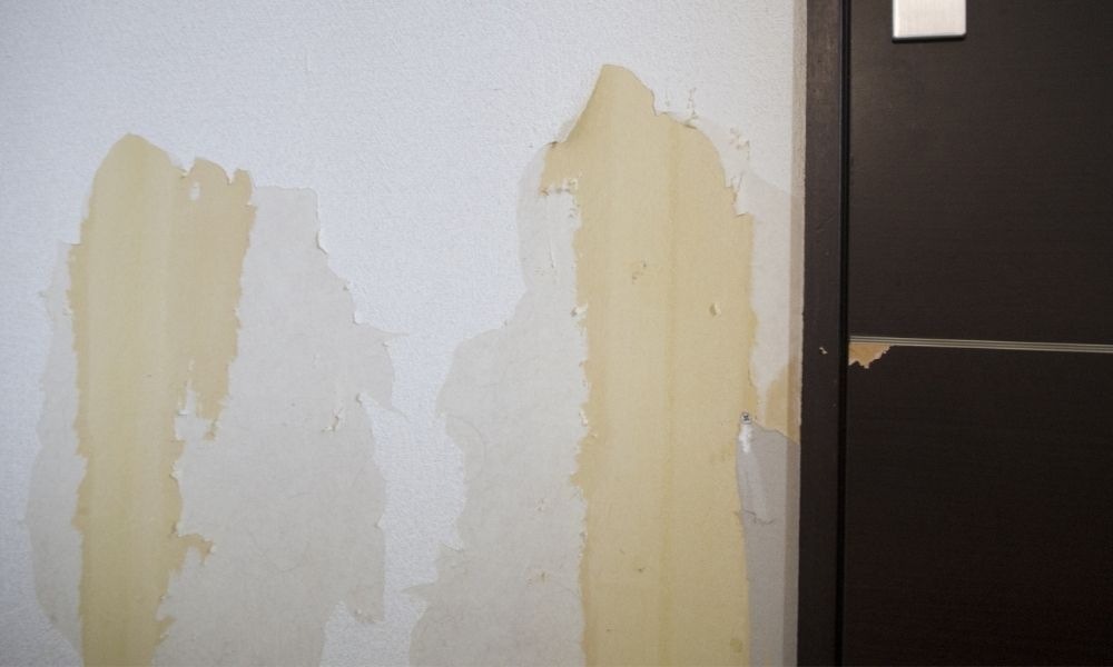 部分張替え・全面張替えも纏めて対応